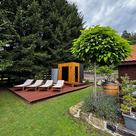 הוילה Jetřichovice Tiny House Vsemily מראה חיצוני תמונה