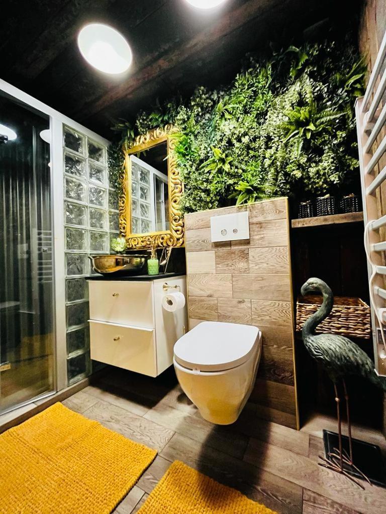 הוילה Jetřichovice Tiny House Vsemily מראה חיצוני תמונה