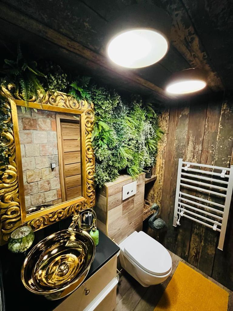 הוילה Jetřichovice Tiny House Vsemily מראה חיצוני תמונה