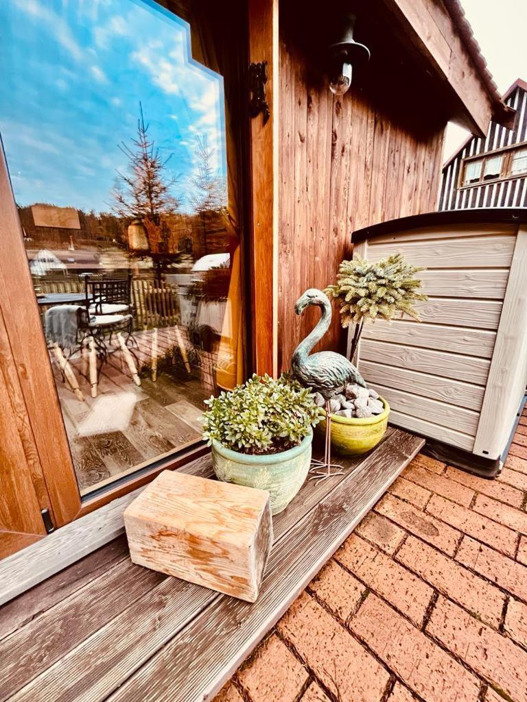 הוילה Jetřichovice Tiny House Vsemily מראה חיצוני תמונה
